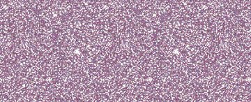 Jacquard Pearl Ex Pigments 3g Jar