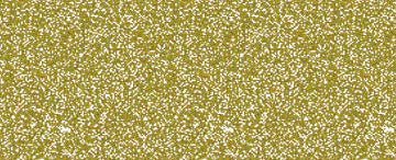Jacquard Pearl Ex Pigments 21g Jar