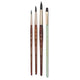 Princeton Neptune Series 4750 Professional Global Set 4pc