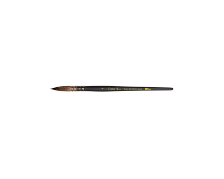 Art Spectrum Casin Vegan Brushes - 300 French Quill