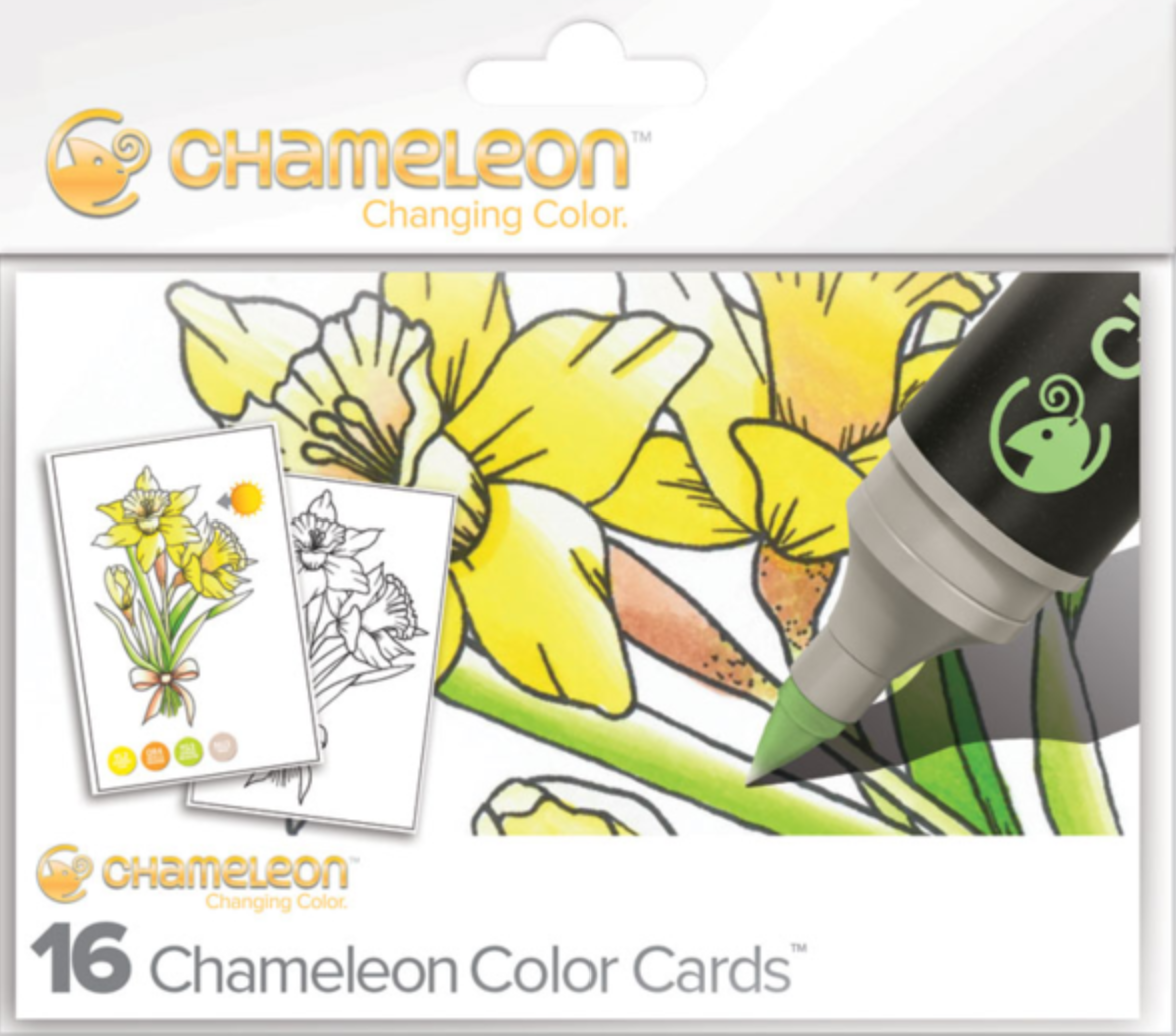 Chameleon Colour Cards  300gsm Various Designs 10 x 15cm