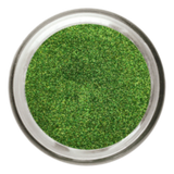 A1 Pigments - Glitter Series - 20 gram