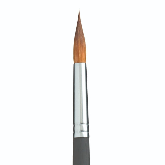 Princeton Aqua Elite 4850 SH Long Round The Artist Warehouse princeton-aqua-elite-4850-sh-long-round-the-artist-warehouse