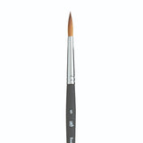 PRINCETON PRINCETON Elite SYN SH Round Size 6 Princeton Aqua Elite 4850 SH Round