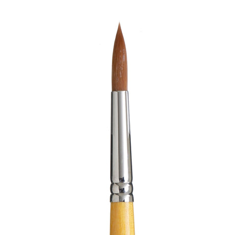 PRINCETON PRINCETON Snap SYN Gold SH Round Size 10 Princeton Snap 9650 Gold SH Round