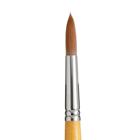 PRINCETON PRINCETON Snap SYN Gold SH Round Size 12 Princeton Snap 9650 Gold SH Round