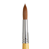 PRINCETON PRINCETON Snap SYN Gold SH Round Size 16 Princeton Snap 9650 Gold SH Round